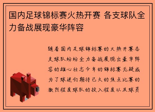 国内足球锦标赛火热开赛 各支球队全力备战展现豪华阵容